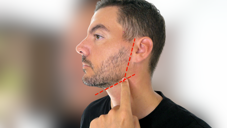 stubble beard neckline